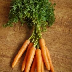 Lire la suite à propos de l’article Campagne la Gastaude : le goût des légumes de saison en vente directe à Auriol