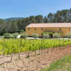 Lire la suite à propos de l’article Le Domaine la Michelle : Un joyau viticole et oléicole en Provence