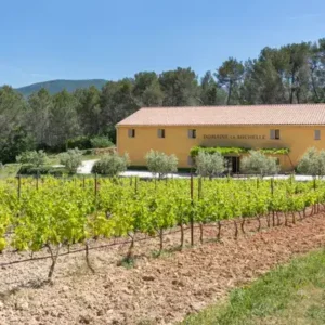 Lire la suite à propos de l’article Le Domaine la Michelle : Un joyau viticole et oléicole en Provence