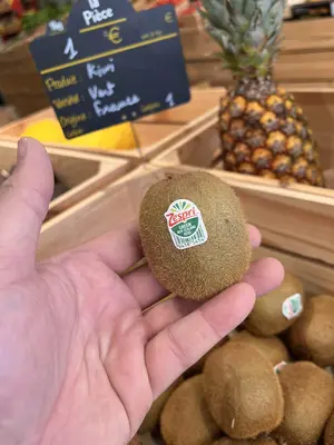 Kiwi